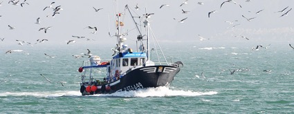 Impacto de la obligación de desembarque de la Unión Europea sobre la pesca artesanal en Galicia